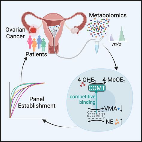 Profiling The Metabolome Of Uterine Fluid For Early Detection Of Ovarian Cancer Cell Reports