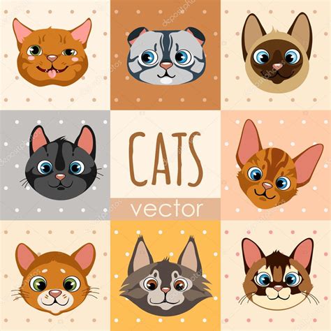 Conjunto De Ocho Coloridas Caras De Gato De Dibujos Animados Imagen