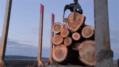 Amazing Dangerous Skills Fastest Big Tree Felling Tree Cutting Pros