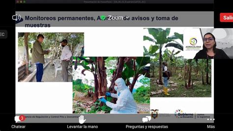 Agrocalidad On Twitter M Nica Gallo Coordinadora De Sanidad Vegetal