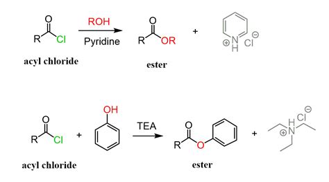 Converting Carboxylic Acids To Esters Chemistry Steps