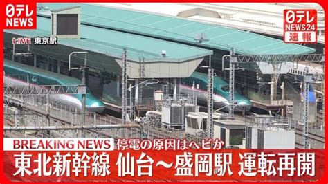 【速報】東北新幹線仙台～盛岡の運転を再開 停電の原因はヘビか │ 【気ままに】ニュース速報