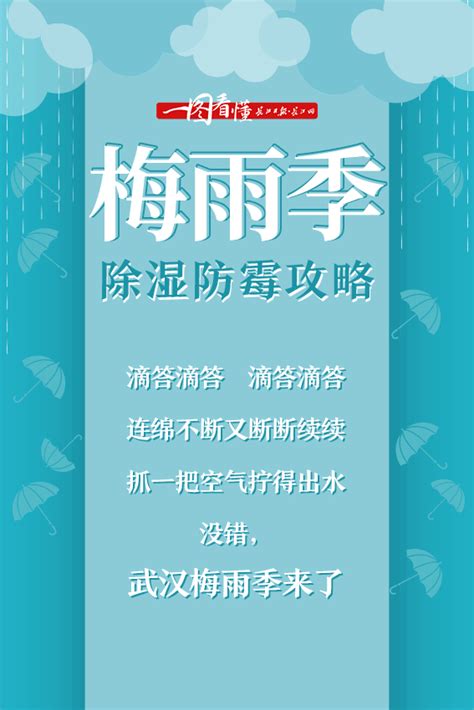 一图看懂│梅雨季，除湿防霉攻略来了武汉新闻中心长江网cjncn