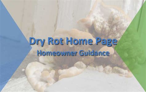 Early Signs Of Dry Rot And Prevention Comprehensive Homeowner Guide