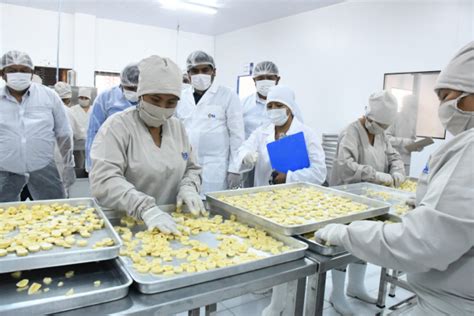 Planta Liofilizadora De Frutas De Eba Generar Empleos