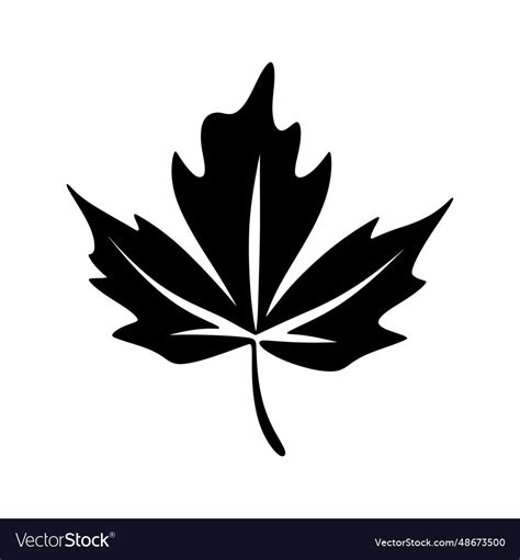 Maple leaf silhouette set Royalty Free Vector Image