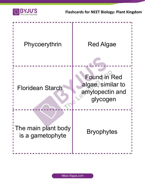 Neet Biology Flashcards Plant Kingdom Download Printable Pdf