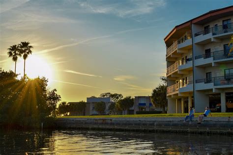 Eckerd College receives $150,000 grant to create living shoreline - News | Eckerd College