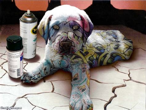 Graffiti Dog : pics