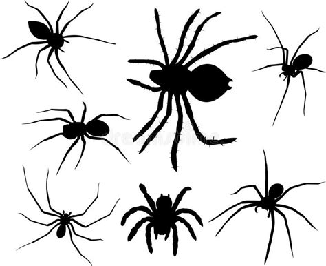 Spiders Vector Set In Flat Style Design Different Kind Of Spider