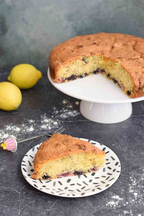 Gluten Free Blueberry Cake Low Fodmap Karlijn S Kitchen