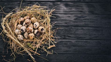 Premium Photo Quail Eggs In The Hay On A Wooden Background Top View