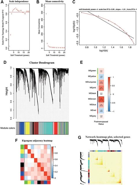 Weighted Gene Correlation Network Wgcna On The Rna Seq Database And