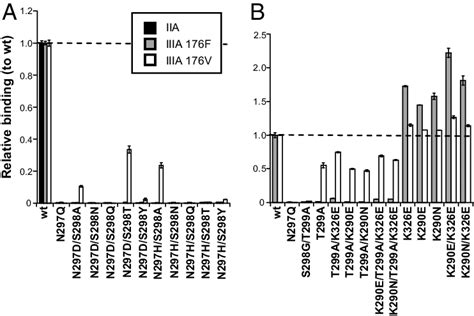 Designed Aglycosylated Fc Mutants With Fcriiia Binding Yeastsecreted