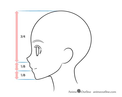 How to Draw Anime Face Side View (With Proportions) - AnimeOutline