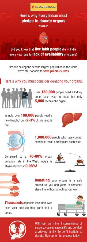 Organ Donation Importance Advantages And Benefits Of Organ Donation