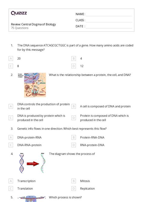 Printable Genetic Mutation Worksheets Quizizz