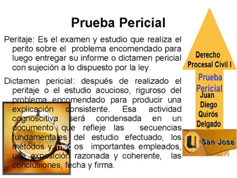 Prueba Pericial