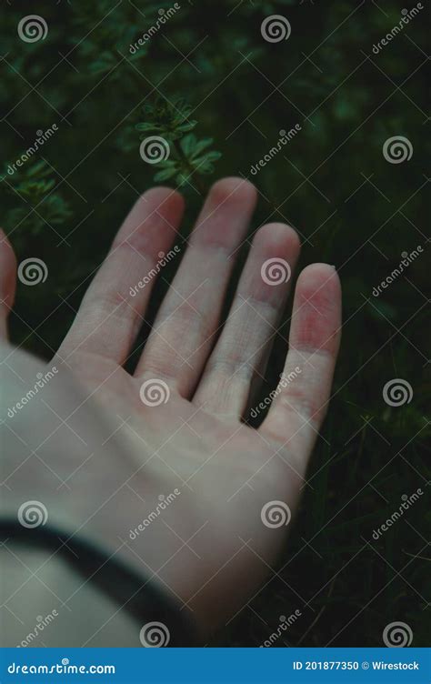 Vertical Shot Of A Hand Touching The Grass Person And Nature