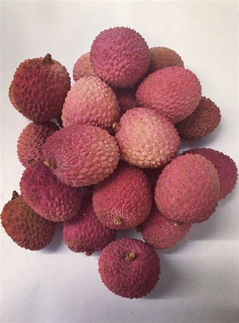 lychees – I.A.Harris & Son Ltd