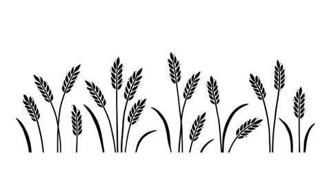 Wheat Silhouette Vector Art, Icons, and Graphics for Free Download