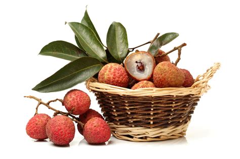 Lychee Harvest Time: How And When To Harvest Lychee Fruit