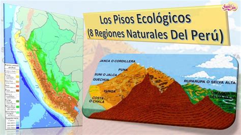 PISOS ECOLOGICOS DEL PERÚ Ocho Regiones Naturales del Perú YouTube