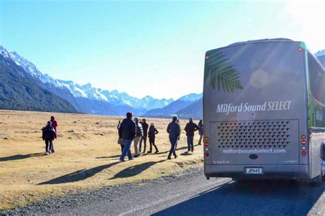 Ab Queenstown Milford Sound Premium Tages Bootstour Getyourguide