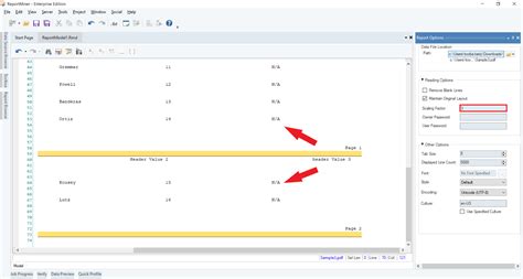 How To Work With Pdf Scaling Factor In Reportminer Reportminer