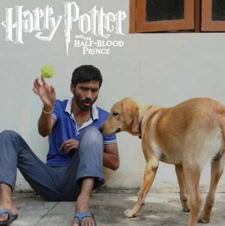 Velai Illa Pattathari 2014 Harry Potter And The Half Blood Prince