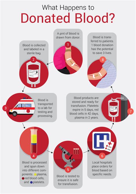 What Happens To Donated Blood Lifeline Blood Services