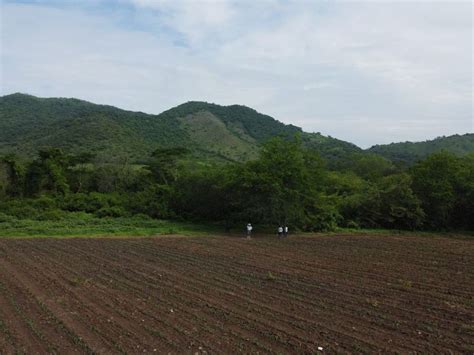 Venta Lote De Terreno En Colima Centro Municipio De Colima PgrXpAf