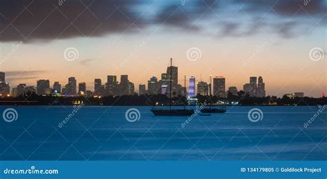 Miami Skyline at Night stock image. Image of metropolitan - 134179805