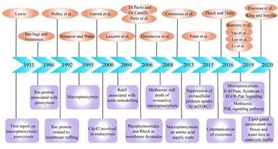 Frontiers The Dual Role Of Macropinocytosis In Cancers Promoting