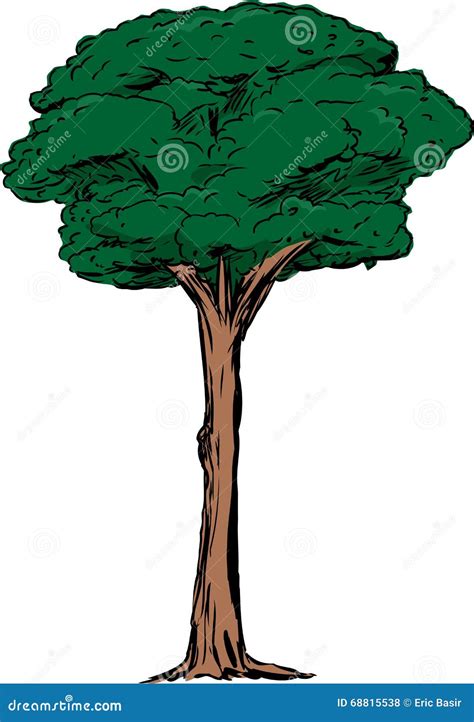 Isolated Tall Tree Stock Illustrations – 6,940 Isolated Tall Tree Stock ...