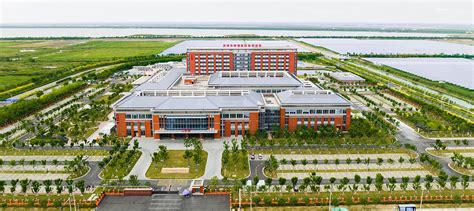 Tianjin Medical University Cancer Institute & Hospital - LOPO China ...