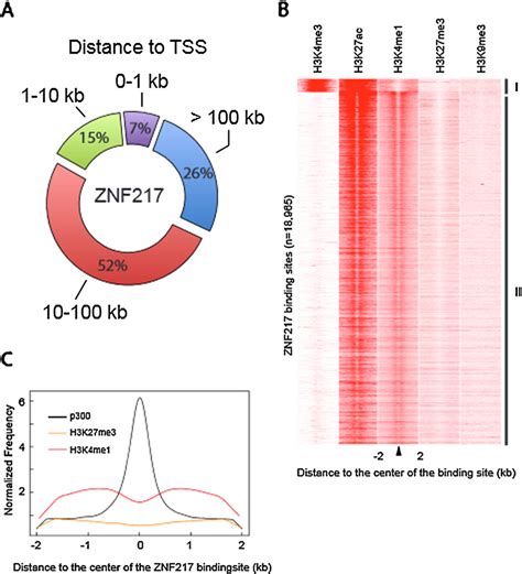 Genome Wide Analysis Of ZNF217chromatin Occupancy A Distribution Of