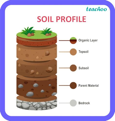 Geography Class 10 Soil As A Resource Teachoo Concepts