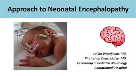 Approach To Neonatal Encephalopathy Copypptx