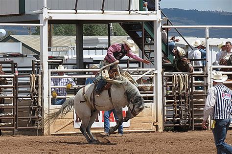 Champions of Laramie Jubilee Days PRCA Rodeo in 2023