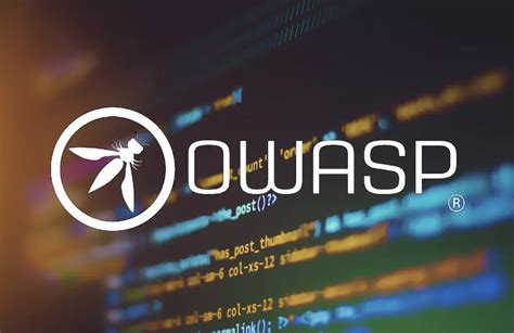 A Guide To OWASP S Top Testing Frameworks Tech Hyme