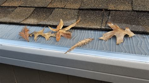 Say Goodbye To Gutter Woes Why We Use Leafblaster Pro Gaston Roofing