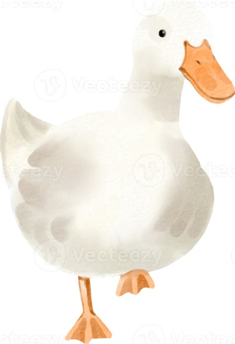 Watercolor Rubber Duck Clip Art Design Cute Beautiful Png Images