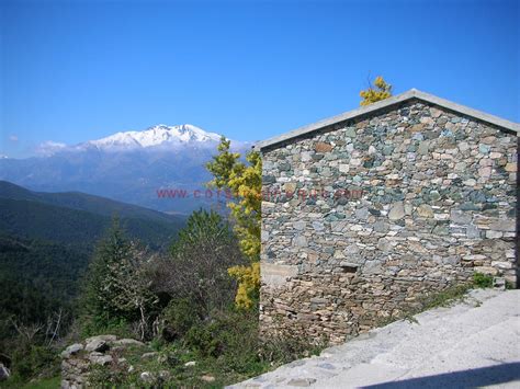 Boziu Au Printemps La Corse De L Int Rieur Territoires Accueil