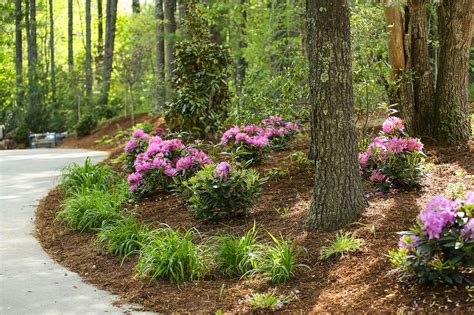 Mills Gap Landscape Design By Gardens For Living