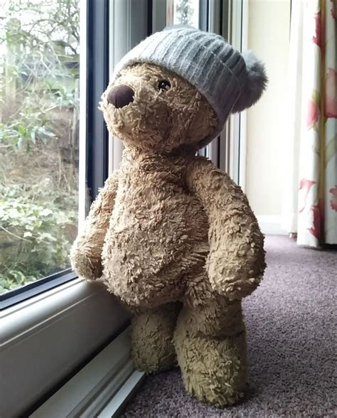 Pin By Sandra Woynar On Kuscheltiere Teddy Photos Teddy Bear Images