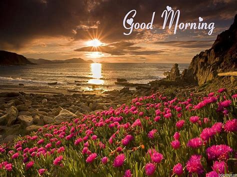 Good Morning Good Morning Nature Hd Wallpaper Pxfuel