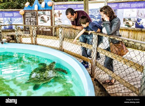 Família observando o tanque tartarugas no Projeto Tamar da Barra da