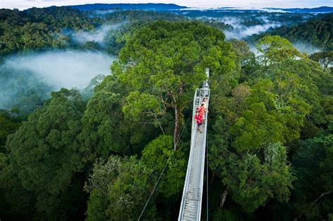 Vườn Quốc Gia Ulu Temburong địa điểm Du Lịch ở Brunei Kinh Nghiệm Du