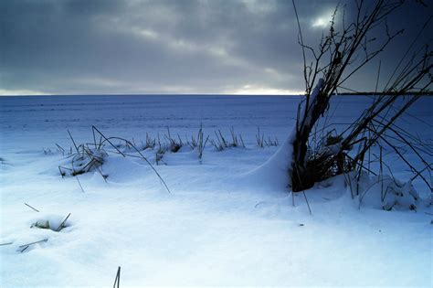 Free Images Tree Horizon Mountain Snow Winter Cloud Sky Field